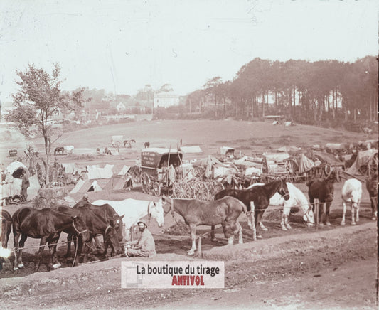 Mont-Saint-Éloi, chevaux, guerre WW1, plaque verre stéréo, photo 4,5x10,7 cm