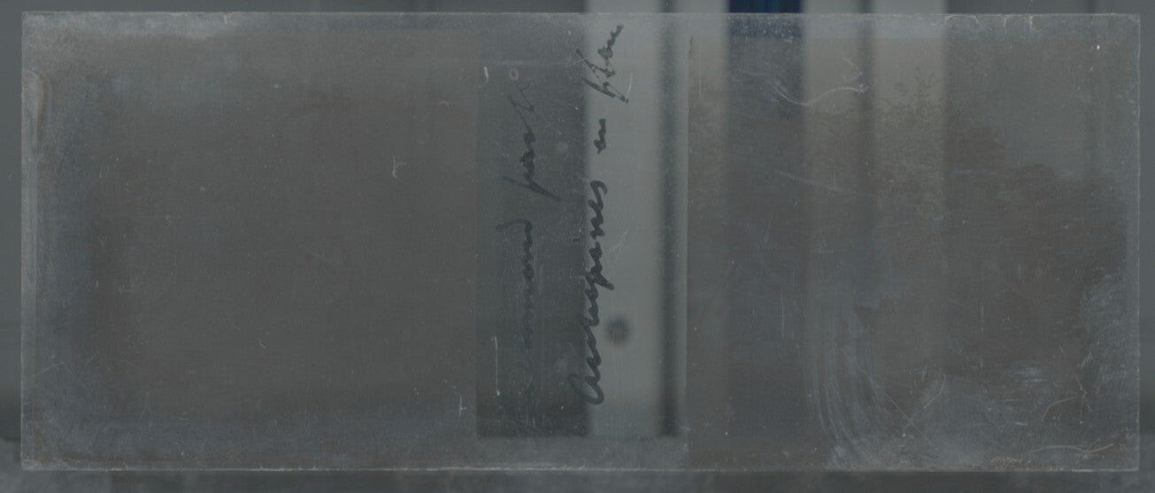 Voyage en Angleterre, Plaque verre stéréo, positif noir & blanc 4,5x10,7 cm