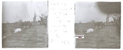 Foucaucourt Estrées, Plaque verre stéréo positif ancien noir & blanc 4,5x10,7 cm