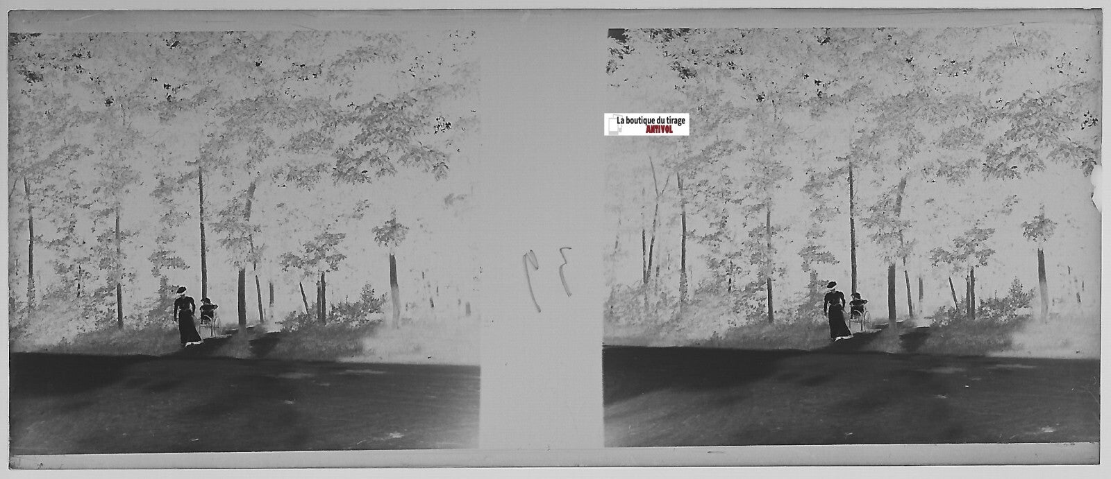 Enfant, forêt, Plaque verre photo stéréo, négatif noir & blanc 4,5x10,7 cm