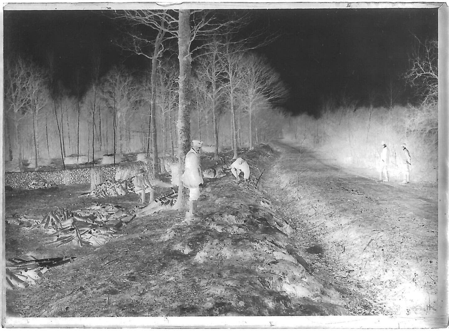 Plaque verre photo négatif noir et blanc 6x9 cm chasse piégeage vintage France 