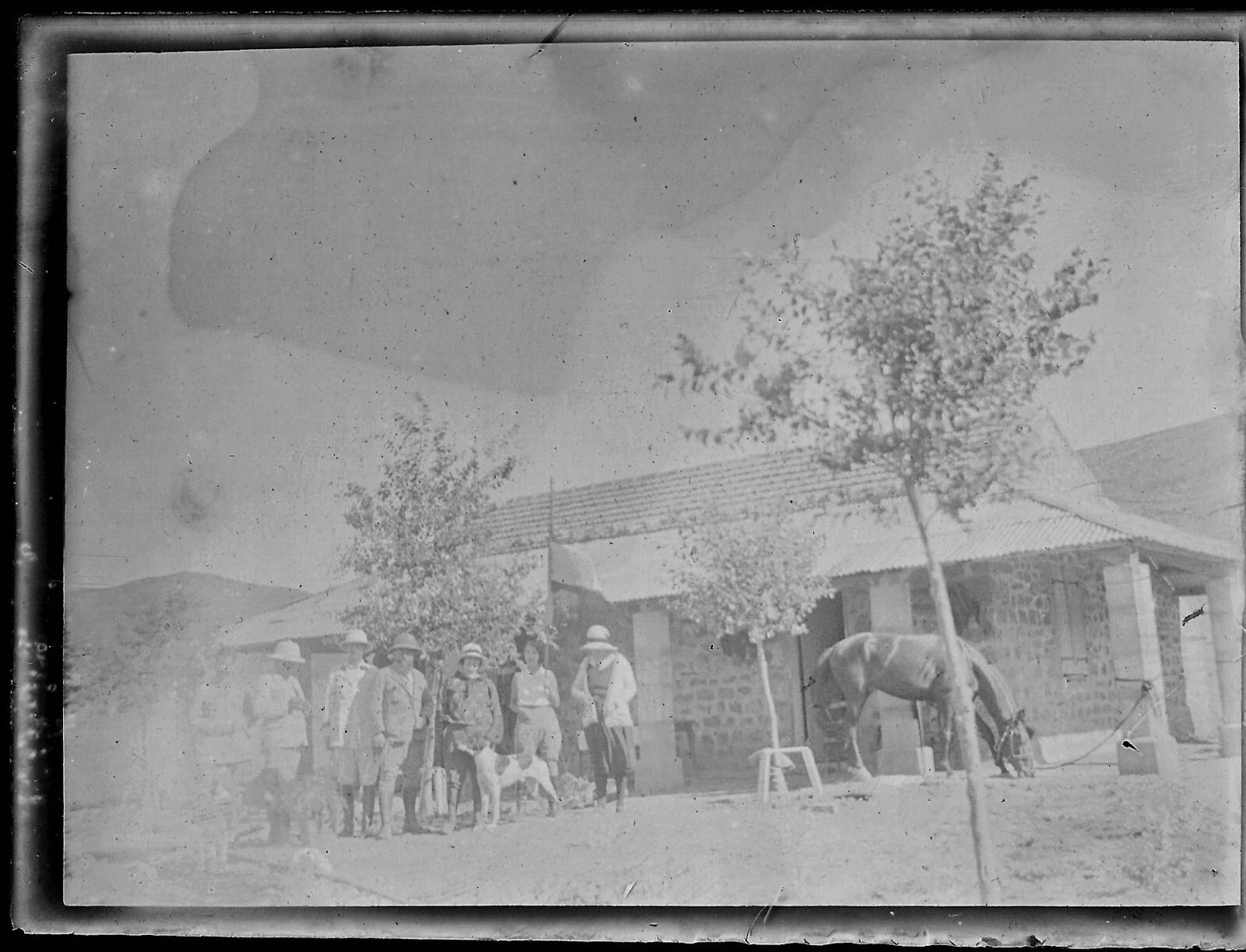 Plaque verre photo ancienne noir et blanc négatif 9x12 cm famille cheval