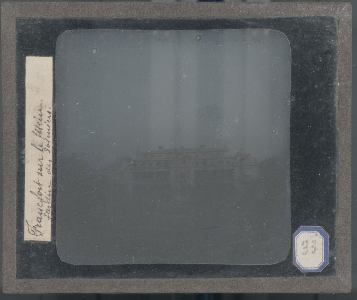 Jardin des plantes, Francfort, Allemagne, photo plaque verre, positif 8,5x10 cm