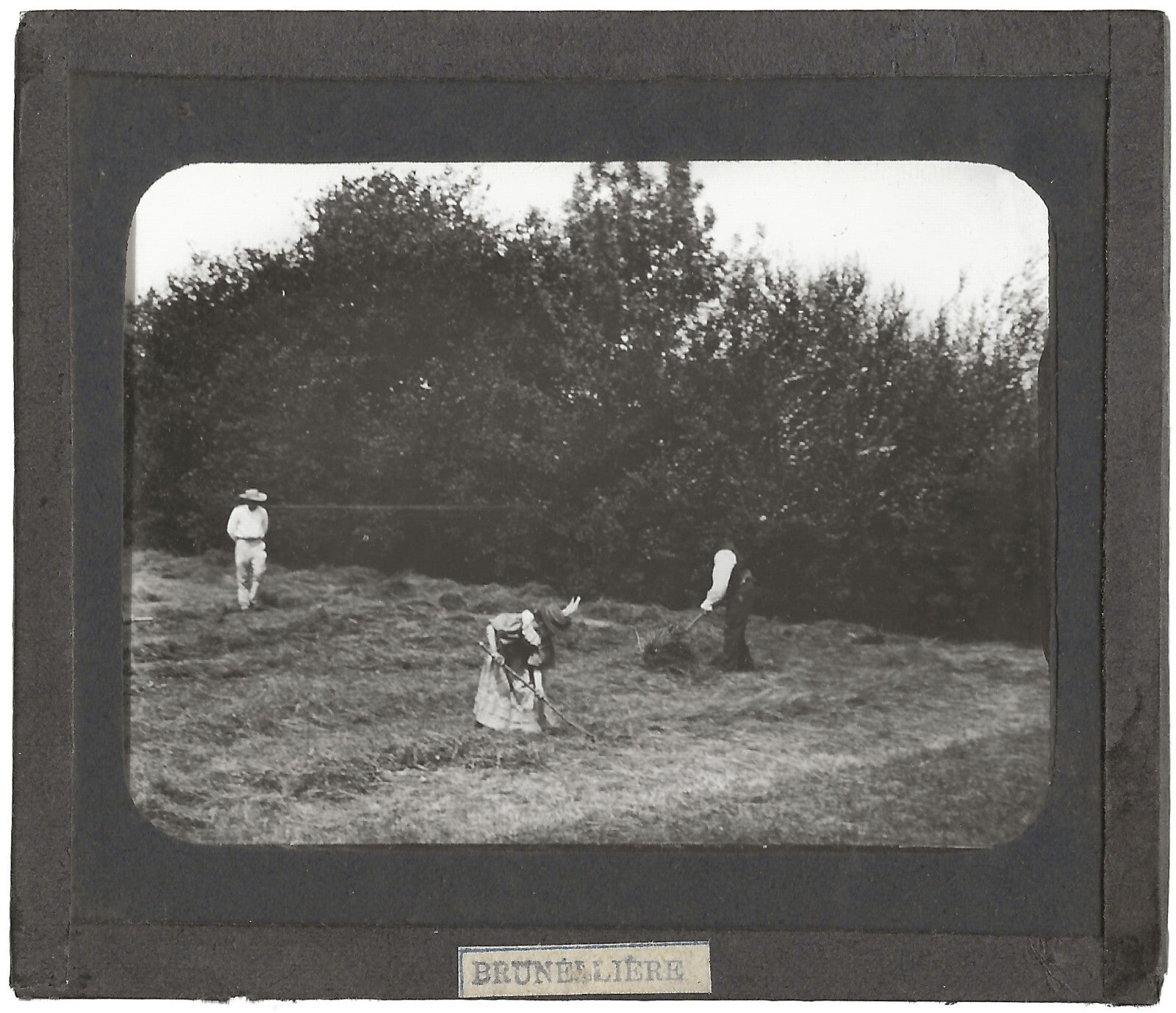 Vertou, ouvriers agricoles, photo ancienne plaque de verre, positif 8,5x10 cm