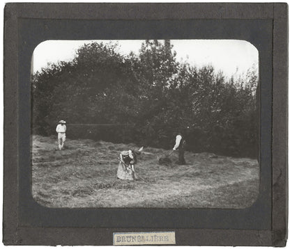 Vertou, ouvriers agricoles, photo ancienne plaque de verre, positif 8,5x10 cm