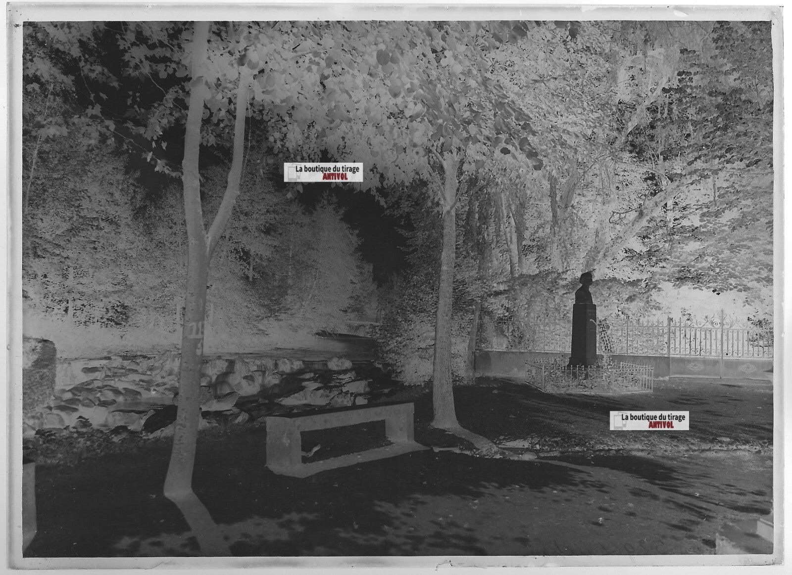 Plaque verre photo ancienne négatif noir et blanc 13x18 cm Luchon France