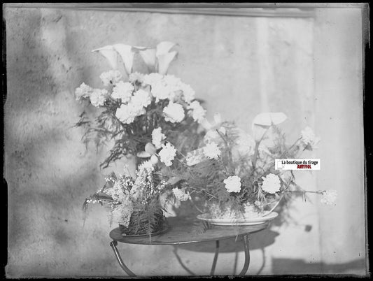 Bouquet fleurs, Plaque verre photo ancienne, négatif noir & blanc 9x12 cm