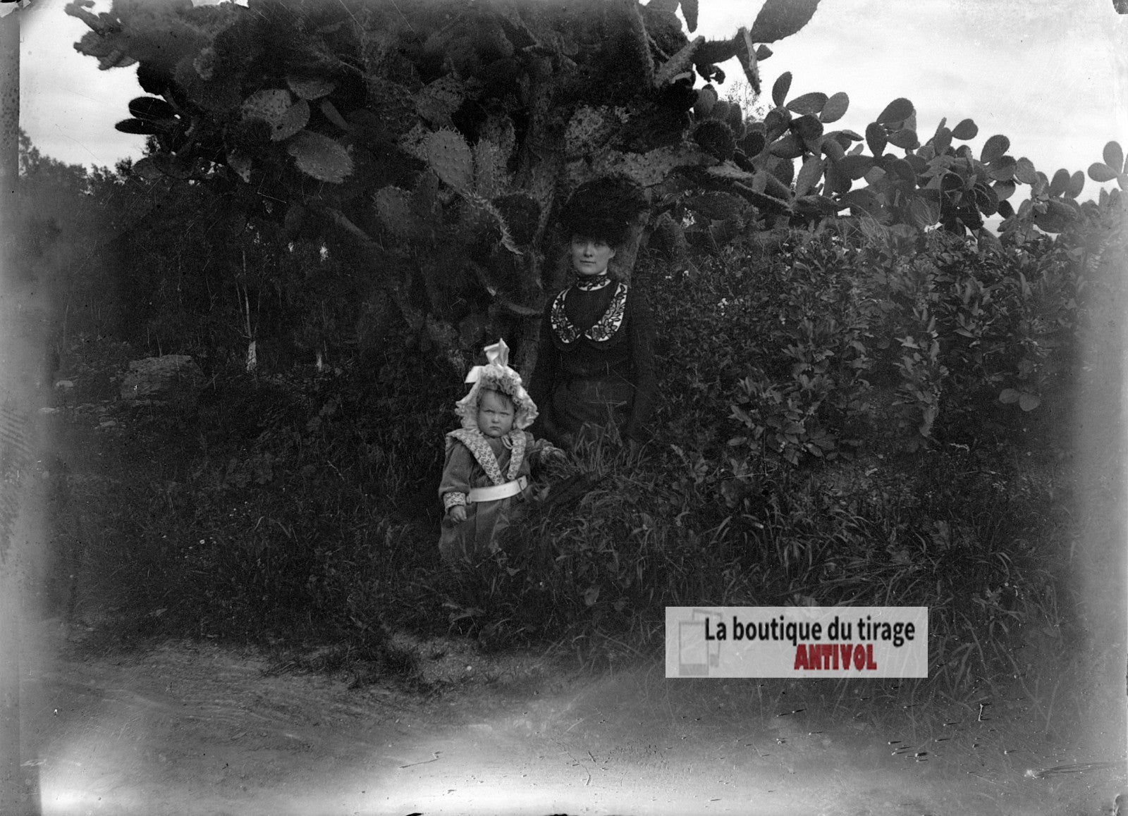 Femme et jeune enfant, figuier, plaque verre photo ancienne, négatif 9x12 cm