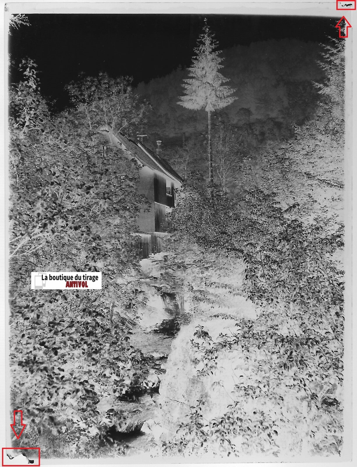 Maison, Alsace, nature, Plaque verre photo, négatif ancien noir & blanc 9x12 cm