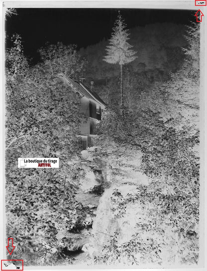 Maison, Alsace, nature, Plaque verre photo, négatif ancien noir & blanc 9x12 cm