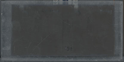 Hippodrome de Longchamp, Paris, plaque verre stéréoscopique, positif 8,5x17 cm