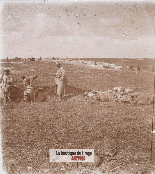 Champ de bataille à Lihons, guerre WW1, plaque verre stéréo, photo 4,5x10,7 cm