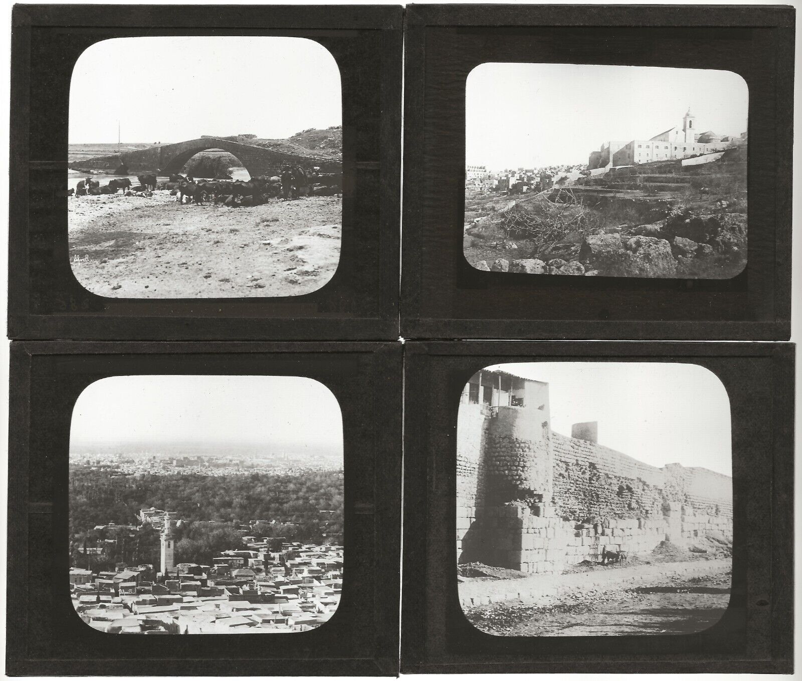 Syrie Cisjordanie Israël, photos plaques de verre, lot 10 positifs 8,5x10 cm