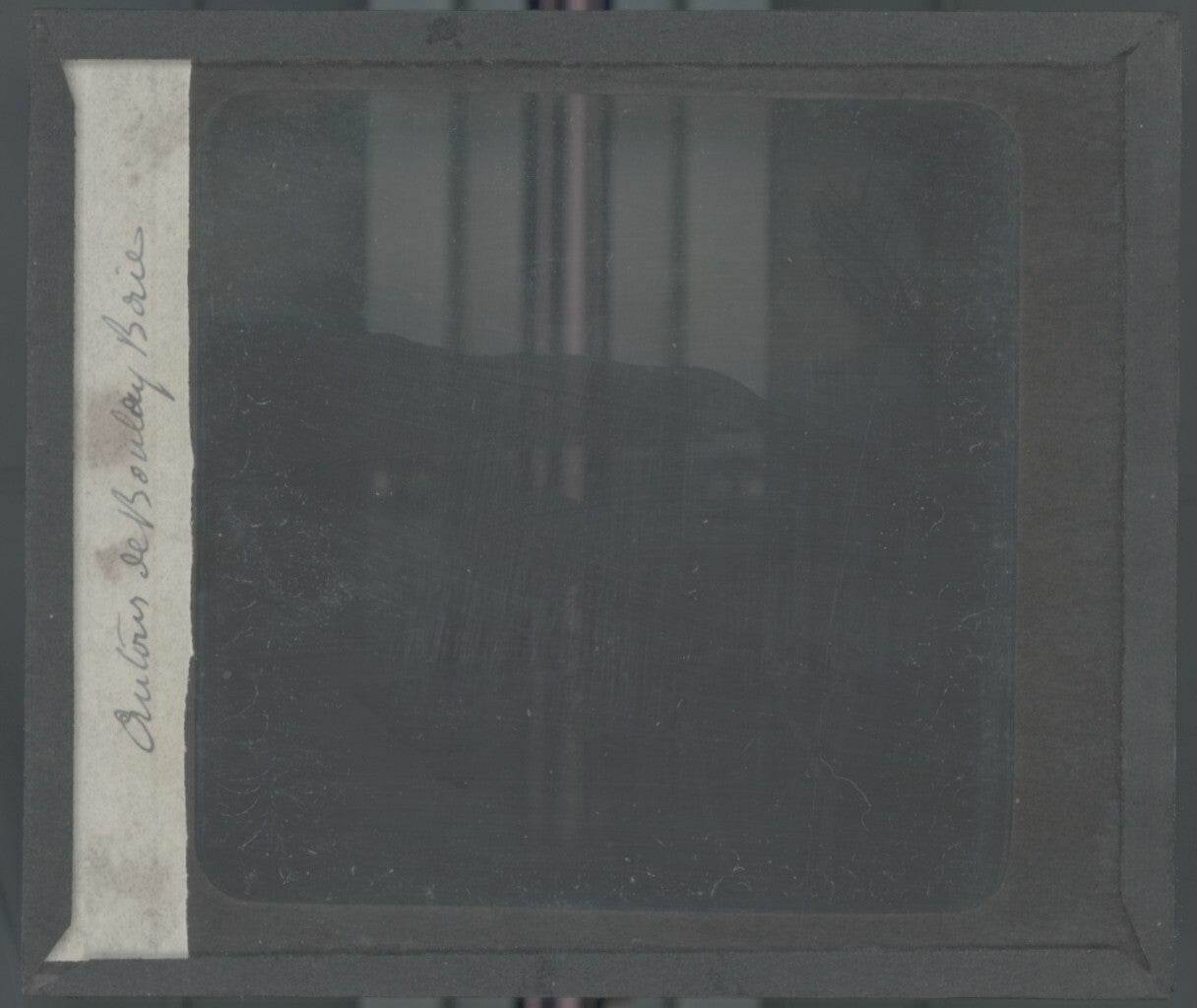 Paysage, mer, pins, nature, photo ancienne plaque de verre, positif 8,5x10 cm