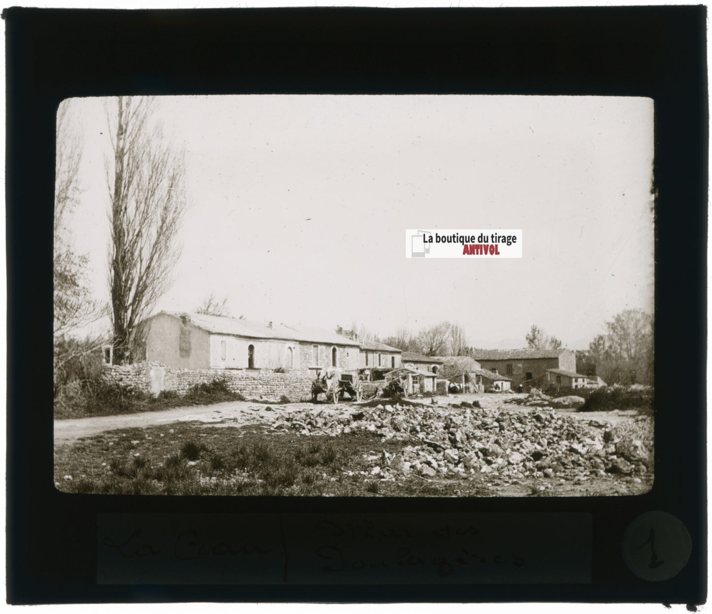 Haras des Poulagères, La Crau, photo ancienne plaque verre, positif 8,5x10 cm