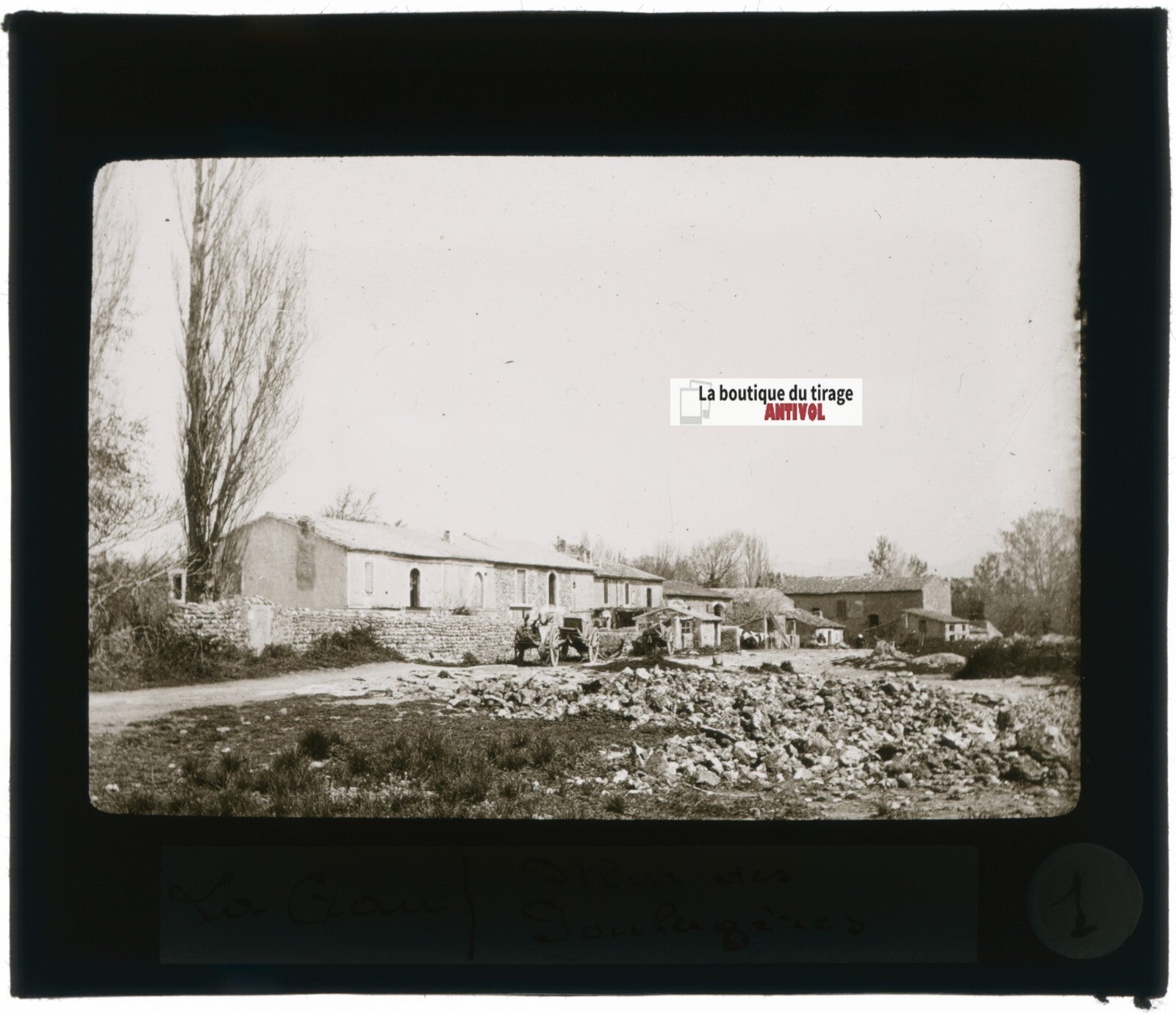 Haras des Poulagères, La Crau, photo ancienne plaque verre, positif 8,5x10 cm