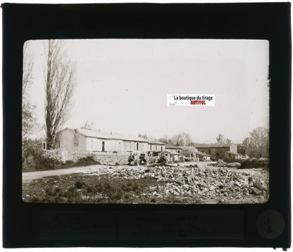 Haras des Poulagères, La Crau, photo ancienne plaque verre, positif 8,5x10 cm