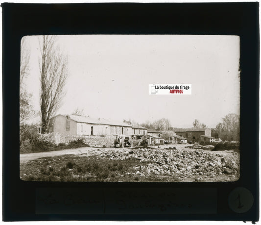 Haras des Poulagères, La Crau, photo ancienne plaque verre, positif 8,5x10 cm