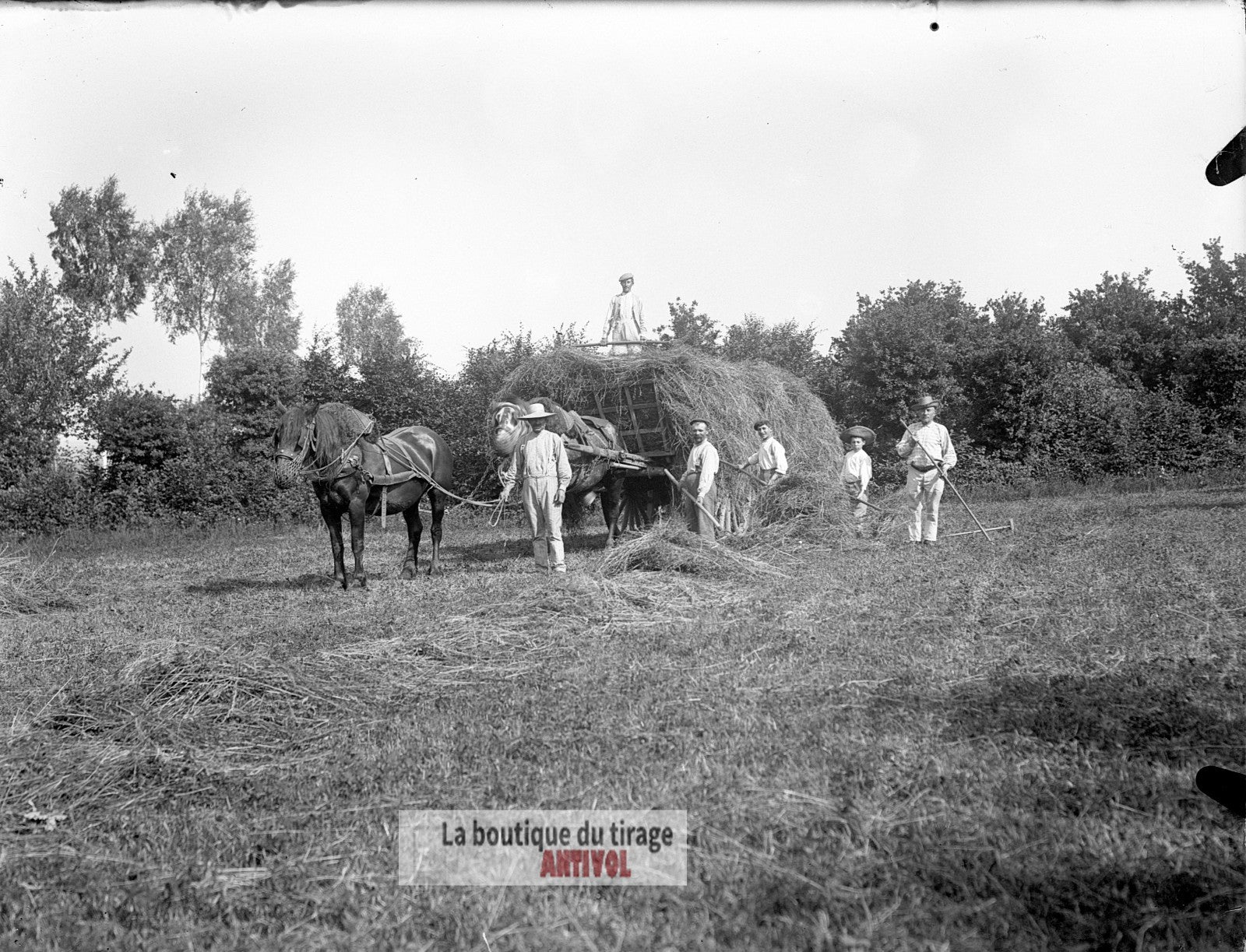 Scène de campagne française, plaque verre, photo ancienne, négatif 9x12 cm
