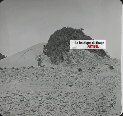 Paysage, désert sable, Maroc, photo ancienne plaque verre, positif 8,5x10 cm