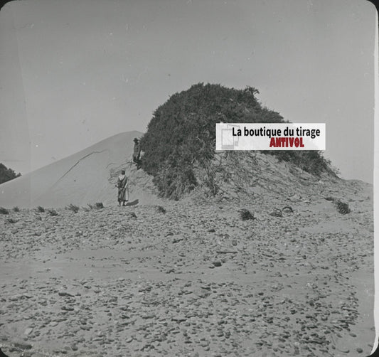 Paysage, désert sable, Maroc, photo ancienne plaque verre, positif 8,5x10 cm