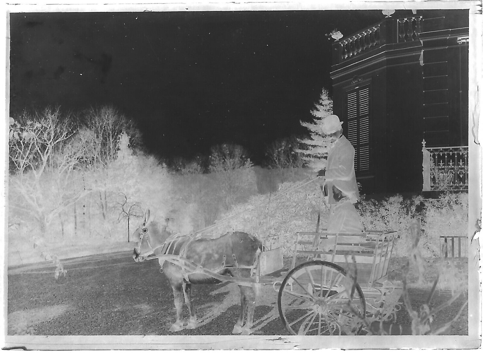 Plaque verre photo négatif noir et blanc 6x9 cm château Bailly âne calèche 