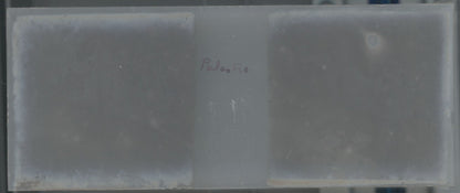 Gorges Palestro Algérie, Plaque verre stéréo, positif noir & blanc 4,5x10,7 cm