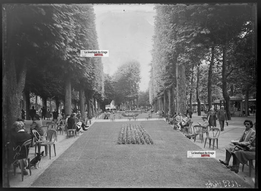 Plaque verre photo ancienne négatif noir et blanc 13x18 cm ancien parc Vichy