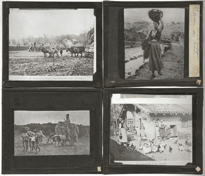 Vie à la campagne, Neuville, photos plaques de verre, lot 10 positifs 8,5x10 cm