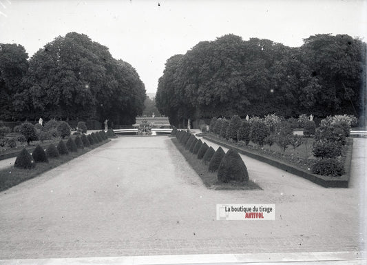 Allée des jardins de Versailles, plaque verre photo ancienne, négatif 9x12 cm