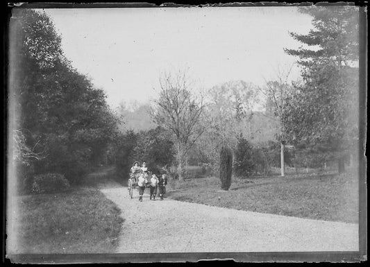 Plaque verre photo négatif noir et blanc 6x9 cm calèche enfant glass plate 