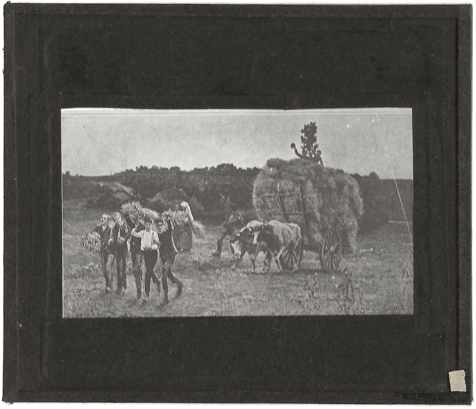 Moissonneurs, campagne dessin,photo ancienne plaque de verre, positif 8,5x10 cm