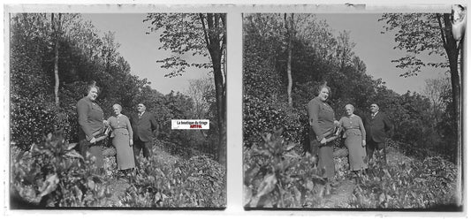 Campagne, Plaque verre photo ancienne stéréo, positif noir & blanc 6x13 cm