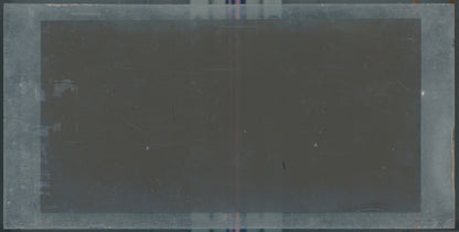 Scène de vie, Longchamp, Paris, plaque verre stéréoscopique, positif 8,5x17 cm