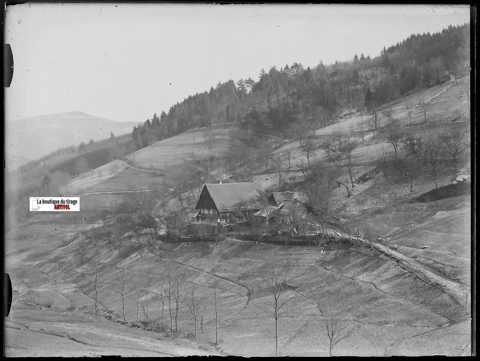 Paysage, Alsace, Plaque verre photo, négatif ancien noir & blanc 9x12 cm