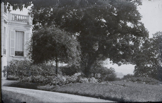 Plaque verre photo ancienne négatif 9x14 cm, noir et blanc château arbre jardin