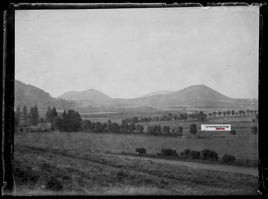 Plaque verre photo ancienne négatif noir et blanc 6x9 cm paysage nature France 