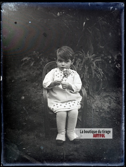 Jeune enfant tenant une fleur, plaque verre photo ancienne, négatif 9x12 cm