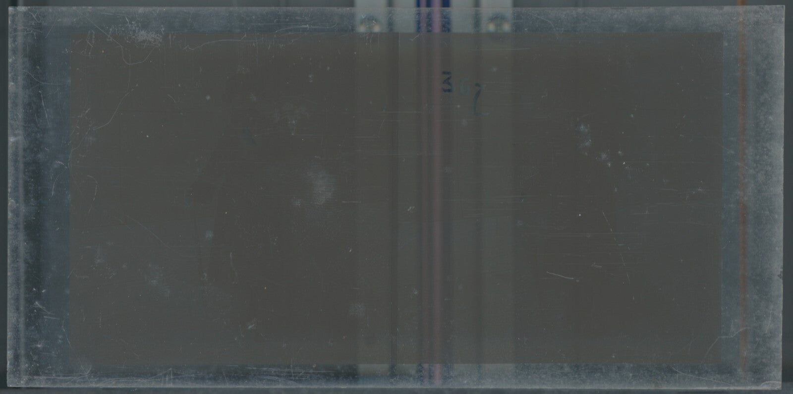 Personnages, Longchamp, Paris, plaque verre stéréoscopique, positif 8,5x17 cm