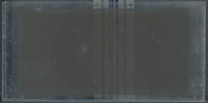 Personnages, Longchamp, Paris, plaque verre stéréoscopique, positif 8,5x17 cm