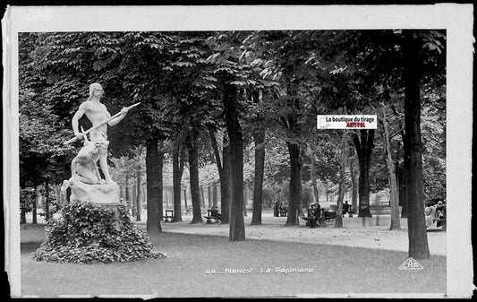 Plaque verre photo vintage, négatif noir & blanc 9x14 cm, Nancy, parc jardin