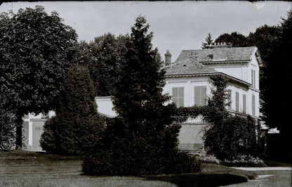 Plaque verre photo ancienne négatif 9x14 cm, noir et blanc château arbre vintage