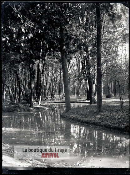 Promenade à bicyclette, sous-bois, plaque verre, photo ancienne, négatif 9x12 cm