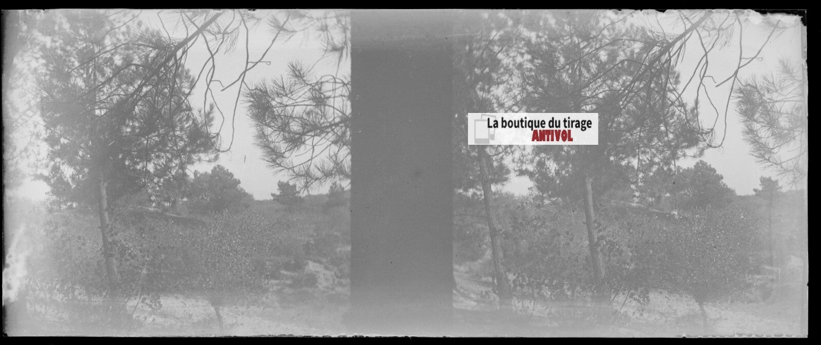 Campagne, nature, Plaque verre stéréoscopie, négatif noir & blanc 4,5x10,7 cm