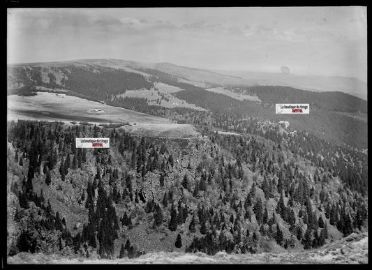 Plaque verre photo ancienne négatif noir et blanc 13x18 cm Hautes-Vosges paysage