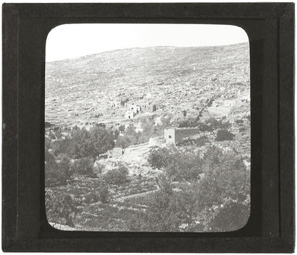 Jardins Salomon Palestine, photo ancienne plaque de verre, positif 8,5x10 cm
