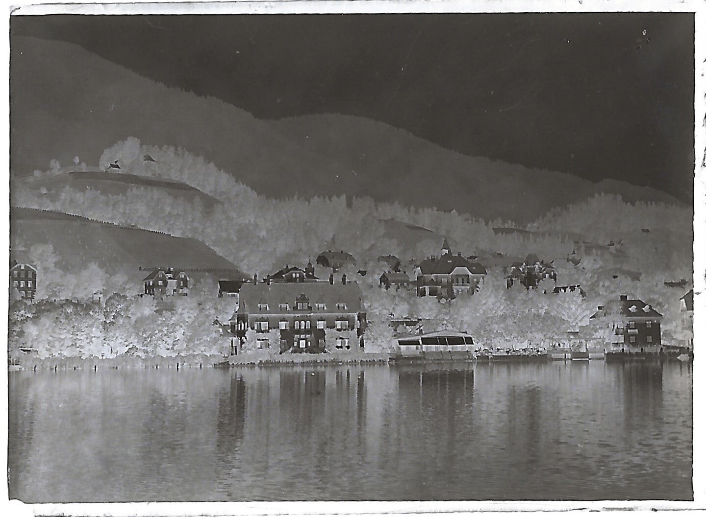 Bailly, Renard, chevaux, photos plaque de verre, lot de 10 négatifs 4x6 cm