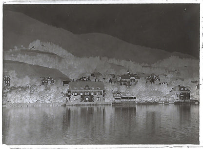 Bailly, Renard, chevaux, photos plaque de verre, lot de 10 négatifs 4x6 cm