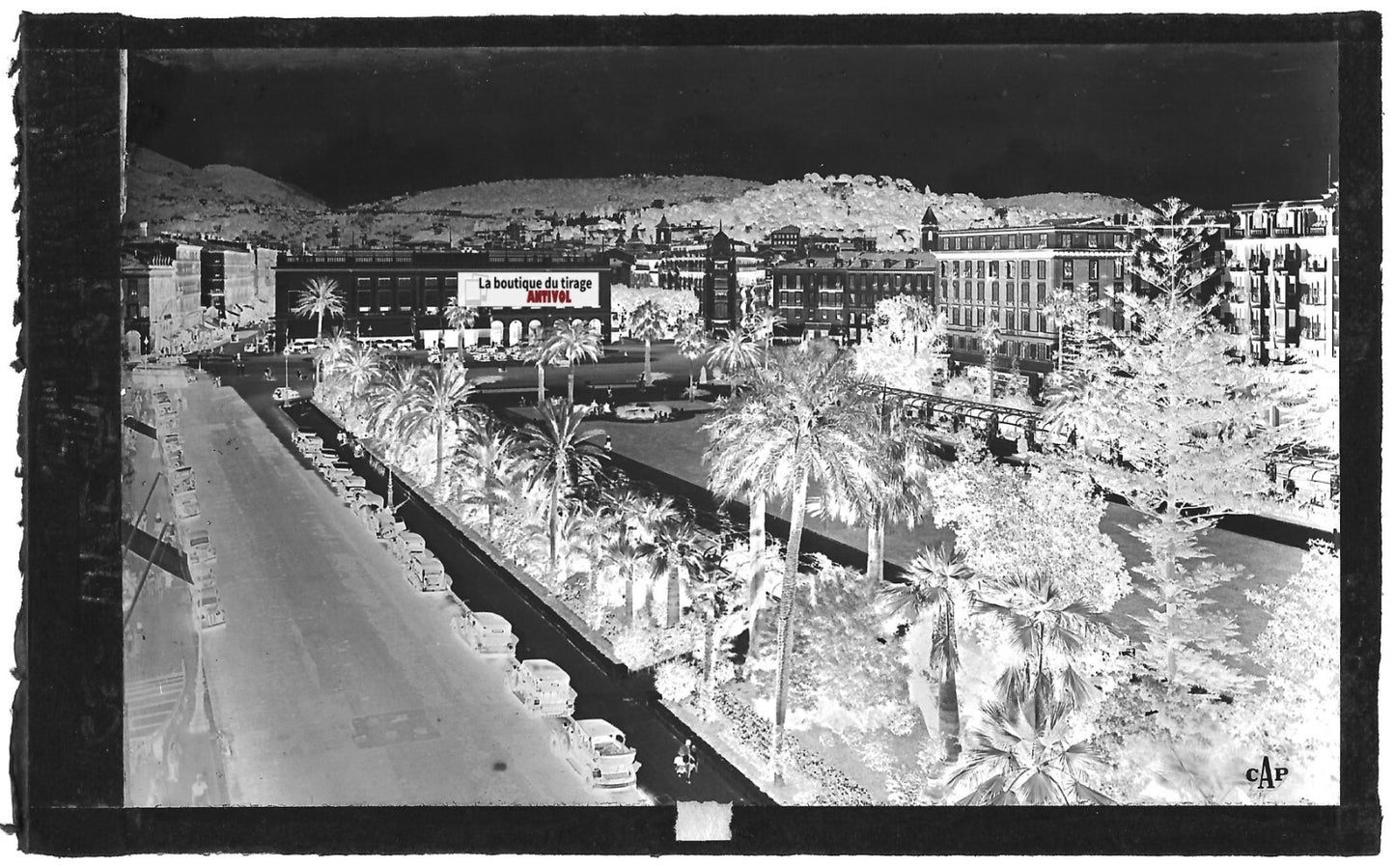Plaque verre photo négatif noir et blanc 9x14 cm Nice, jardin Albert 1er, France