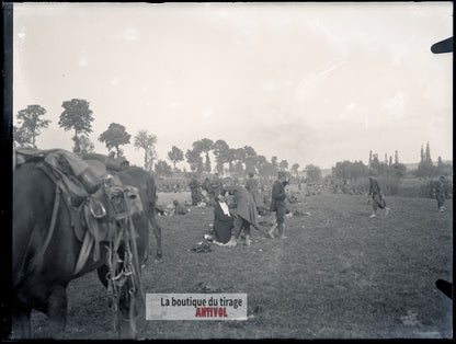 Manœuvres militaires, 1912, plaque verre, photo ancienne, négatif 9x12 cm